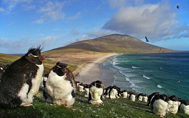 幾內亞比紹小國移民