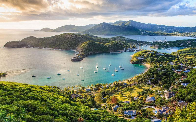 申請中國香港優(yōu)才