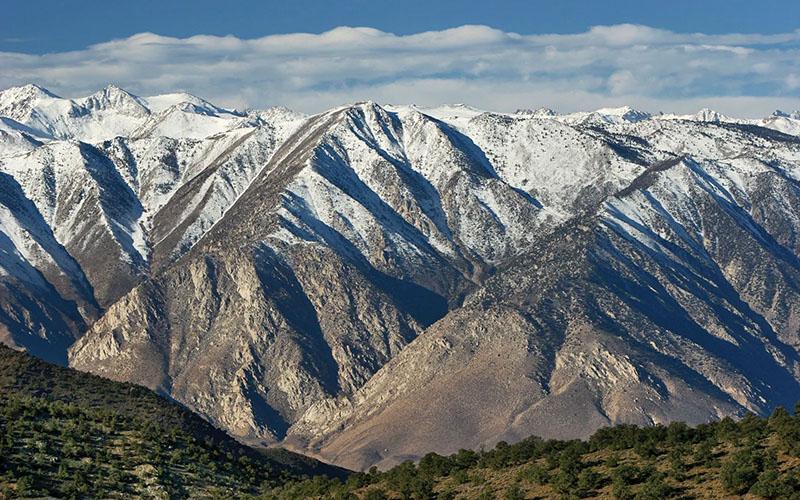 歐洲移民美國(guó)